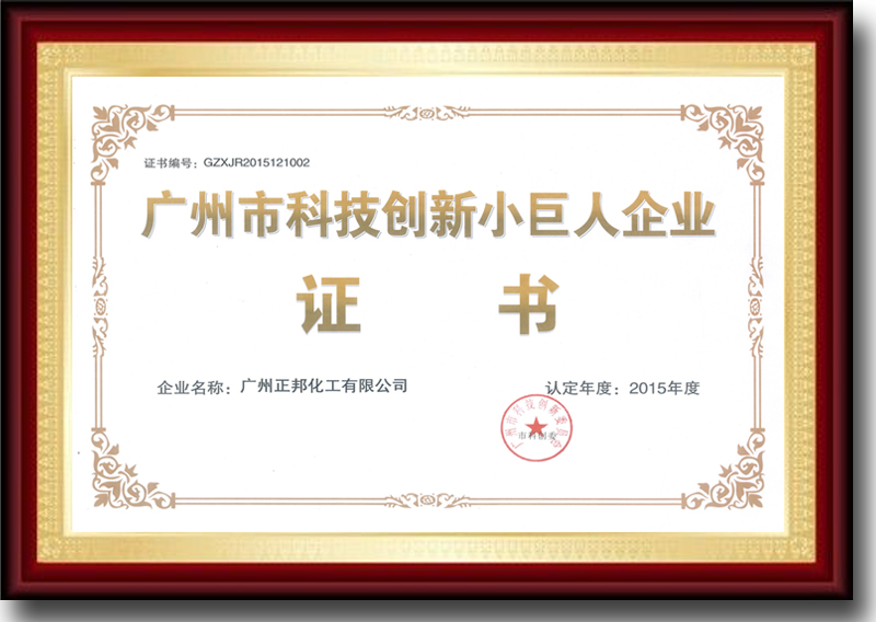 Certificate: Sci. & Tech. Innovation Little Giant